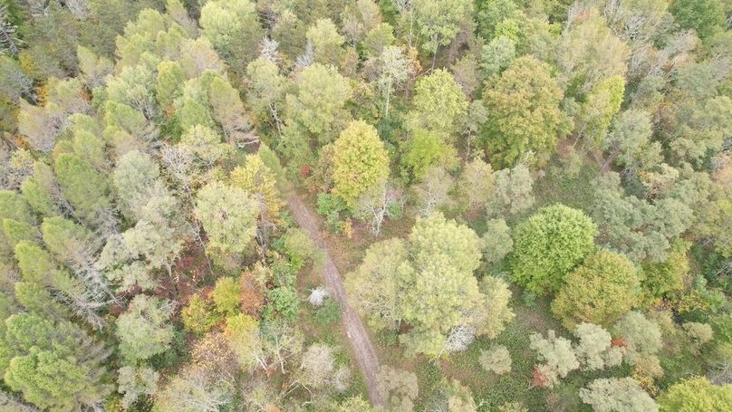 dji_fly_20240926_134642_743_1727372981421_photo