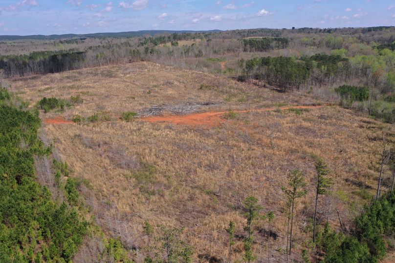 Copy of 200ftCardinal-4