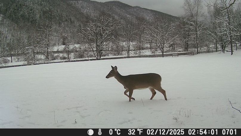 DSCF0701