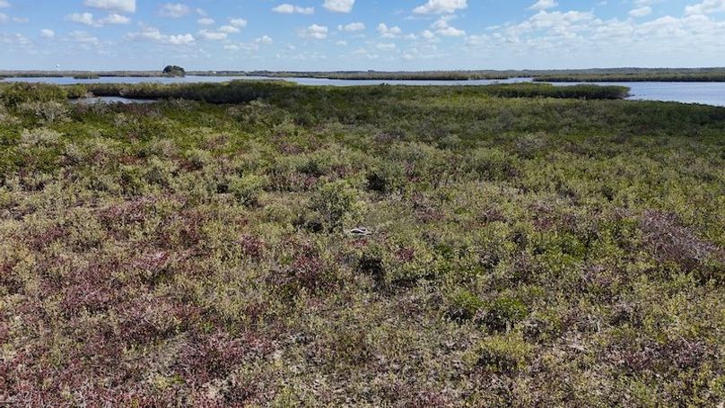 17.17ac, Citrus, Josiah Ronco37