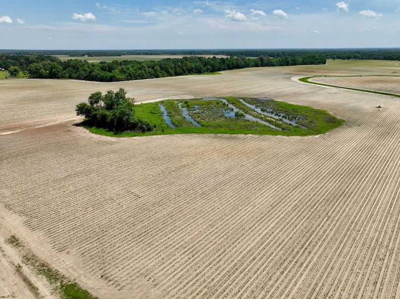 dji_fly_20250521_144558_878_1747853597798_photo