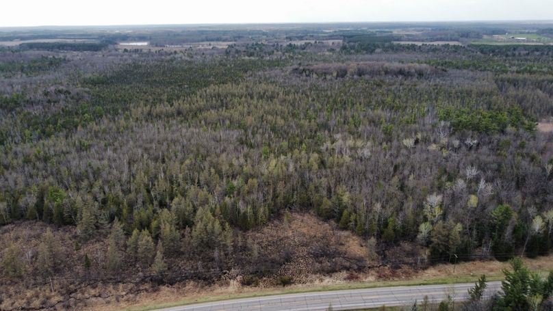 dji_fly_20230504_164120_388_1683237013620_photo_optimized