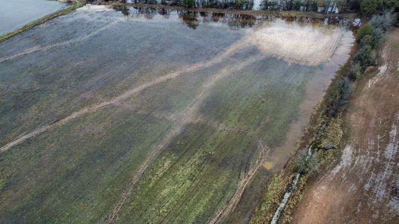 dji_fly_20251202_151146_542_1764710111030_photo_optimized