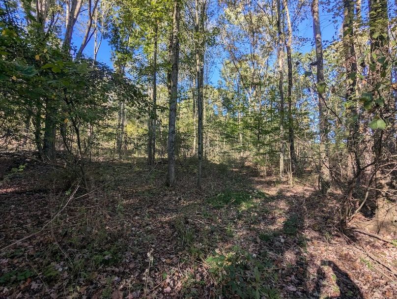 PXL_20251001_204844235