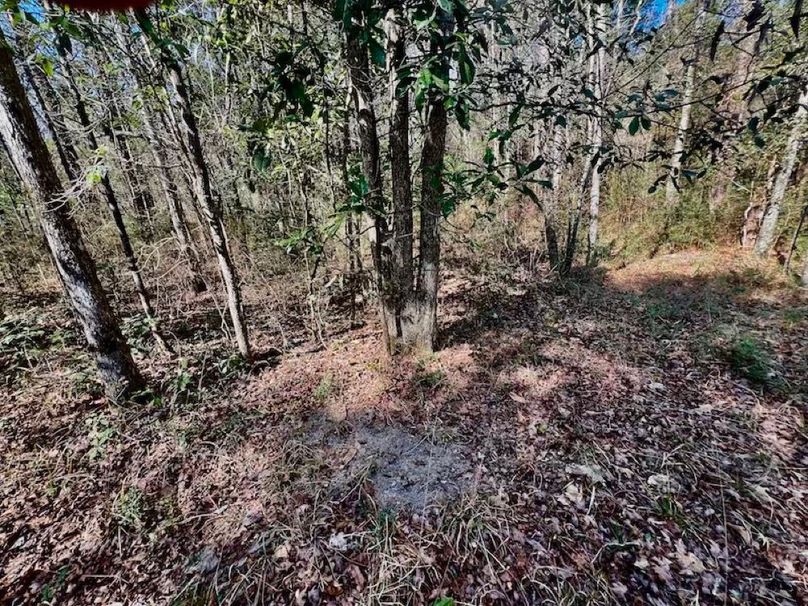 CE61BFEF-38B4-4343-8CC3-28026554561A_1_201_a