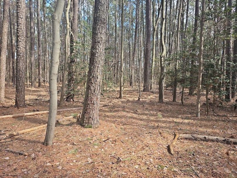 Romancoke_QAnnes_PIC_013