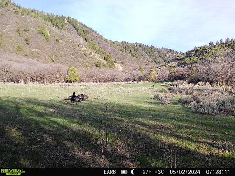 Copy of 868032066947726-90-3-05022024072812-W1004407