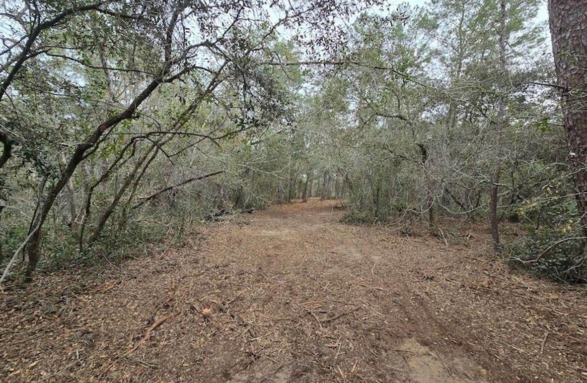 5ac, Marion, Andrew Goering01