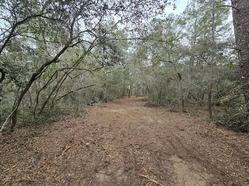 5ac, Marion, Andrew Goering01