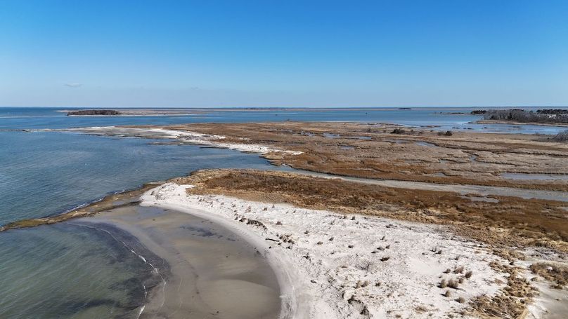 dji_fly_20250303_110916_0004_1741020601161_photo