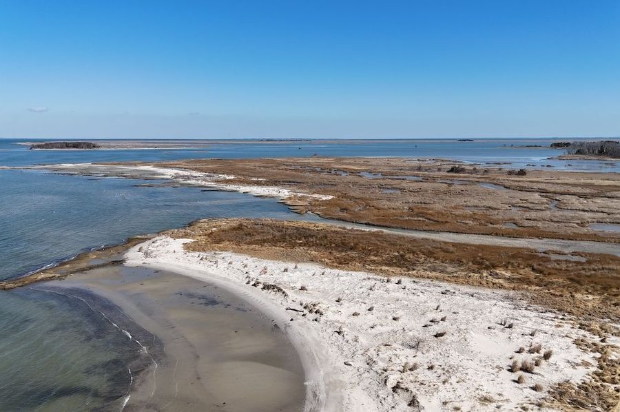 dji_fly_20250303_110916_0004_1741020601161_photo