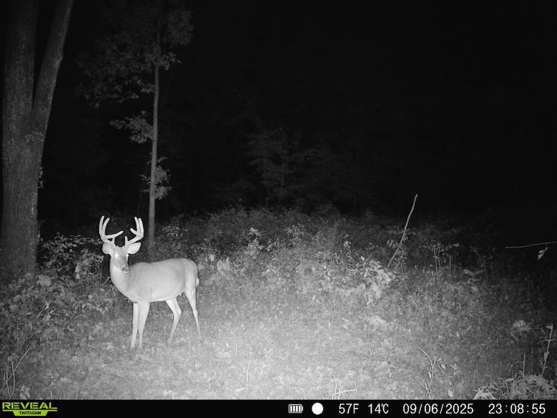 860322061882913-100-3-09062025231718-HD-SYFW0338