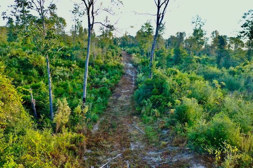 ED3B7FF6-4AC4-456C-93AD-0BE1D6A0F50B_1_105_c