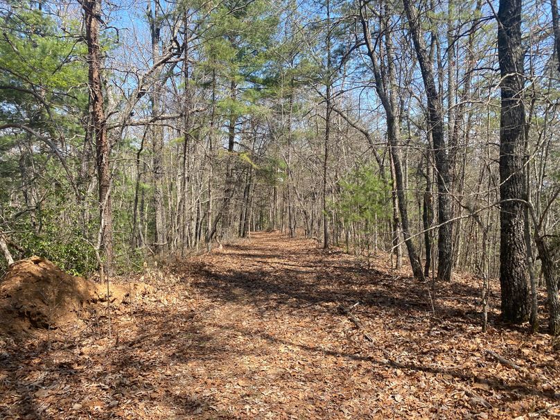 Cherokee 69.74 Stiles-24