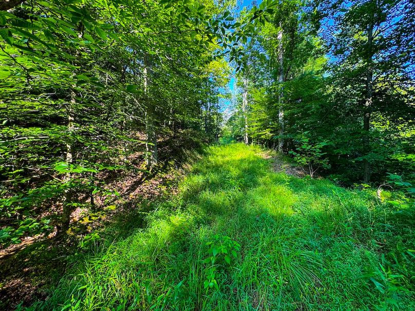 Lewis, WV 82.87 AC Barger-077