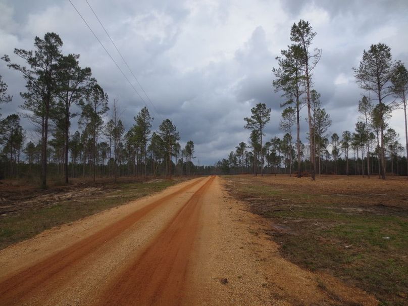 080917B9-2397-4667-B7AD-671112278ECF_1_105_c