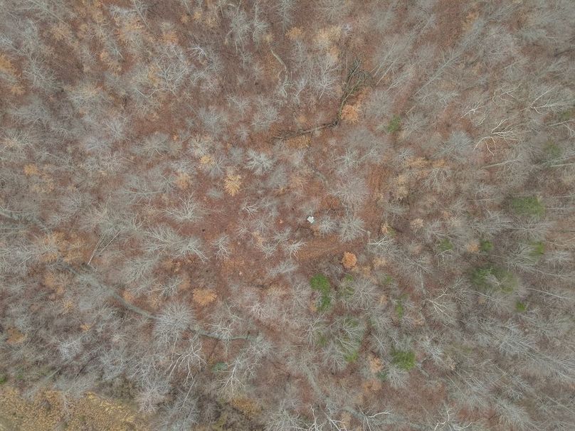 12-DJI_20260308105040_0004_W