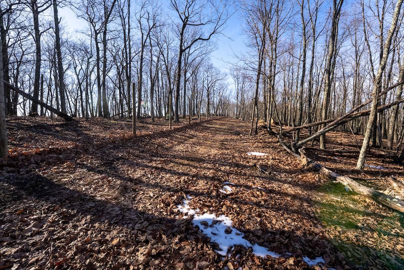 Copy of Hampshire WV 200 Featured_Pro Photo