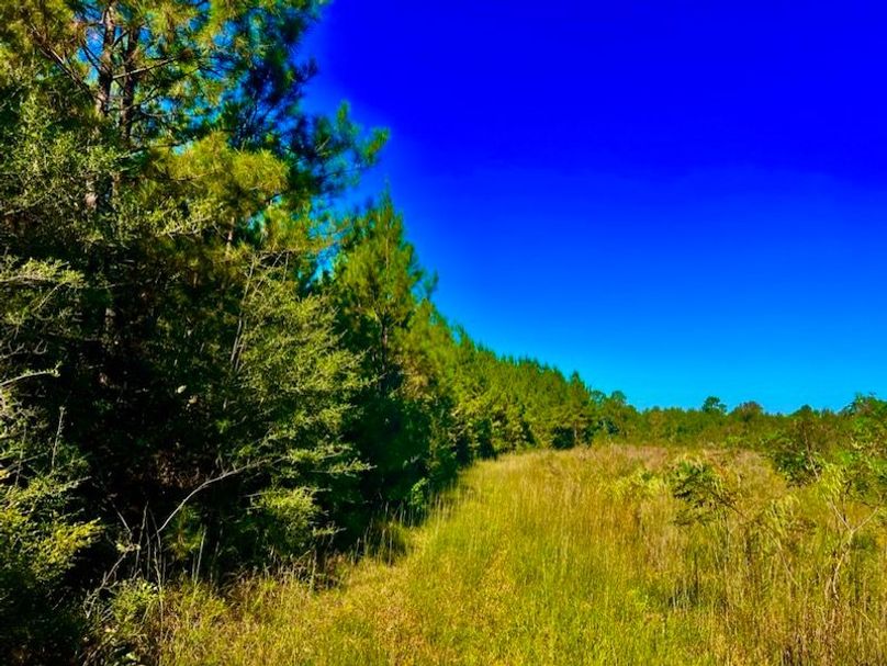 72559936-0412-41EC-9678-D183B44F19F2_1_105_c