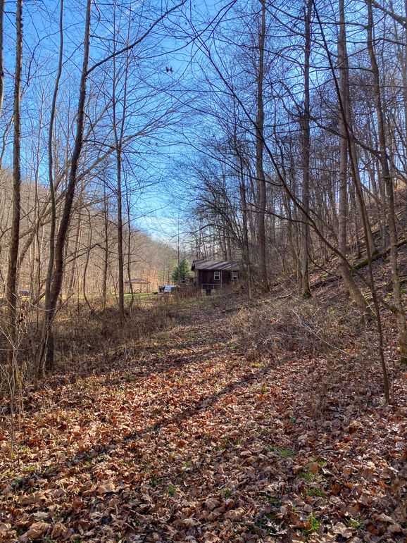 Lewis ky 304 Austin 009