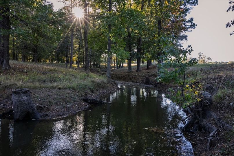 11 harrison 417ac pics-059