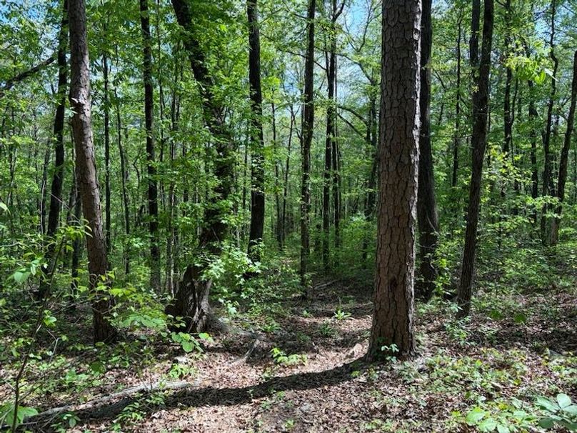 919B458C-2B51-4E82-9528-EAAF2440811F_1_105_c