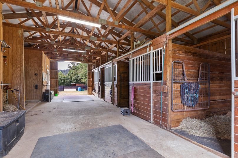 44-web-or-mls-BY1A2338