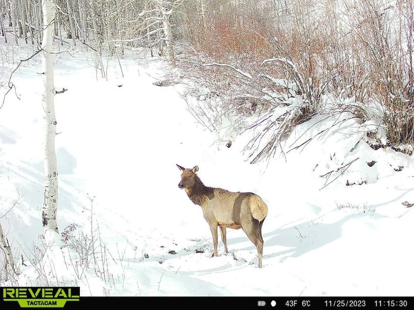 Copy of 7b586b04-8192-4134-befc-fe0b19162e85