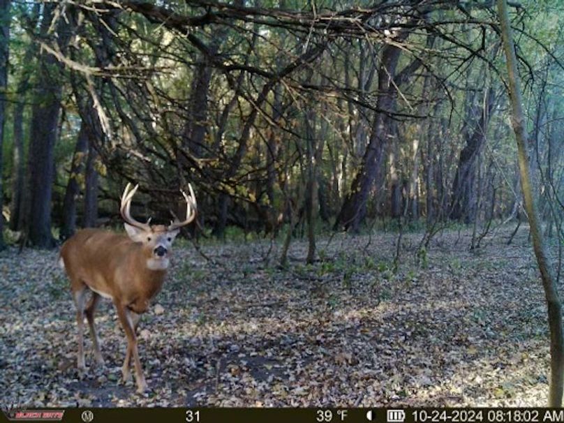 thumb-4c8c8c9cef6a316c49d27d16a3188a9ad2981641