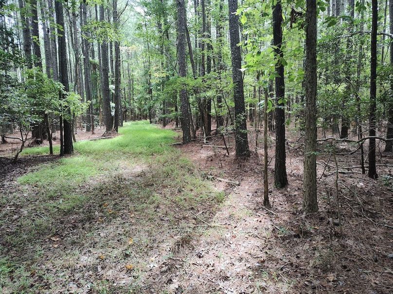 IMG_20250830_121742773