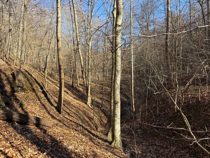 022 south facing slope in the upper reaches of the east valley