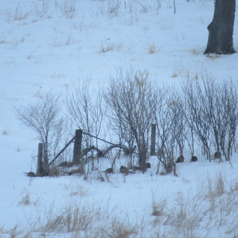 Screenshot 2024-09-04 at 2.31.59 PM