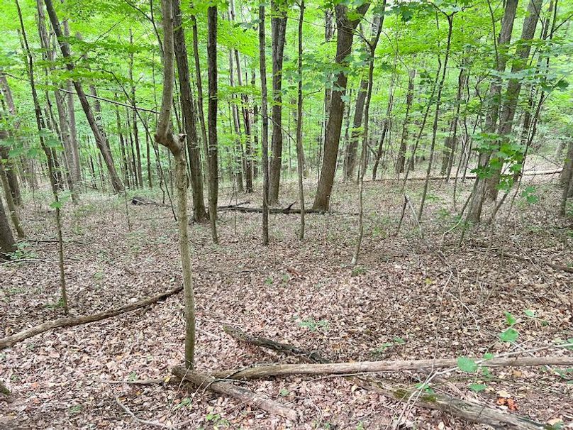 Braxton, WV 46 AC Cooper-73