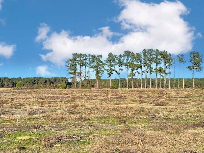 A577EEB0-3DE9-47AA-84B5-CCF923E15C9C