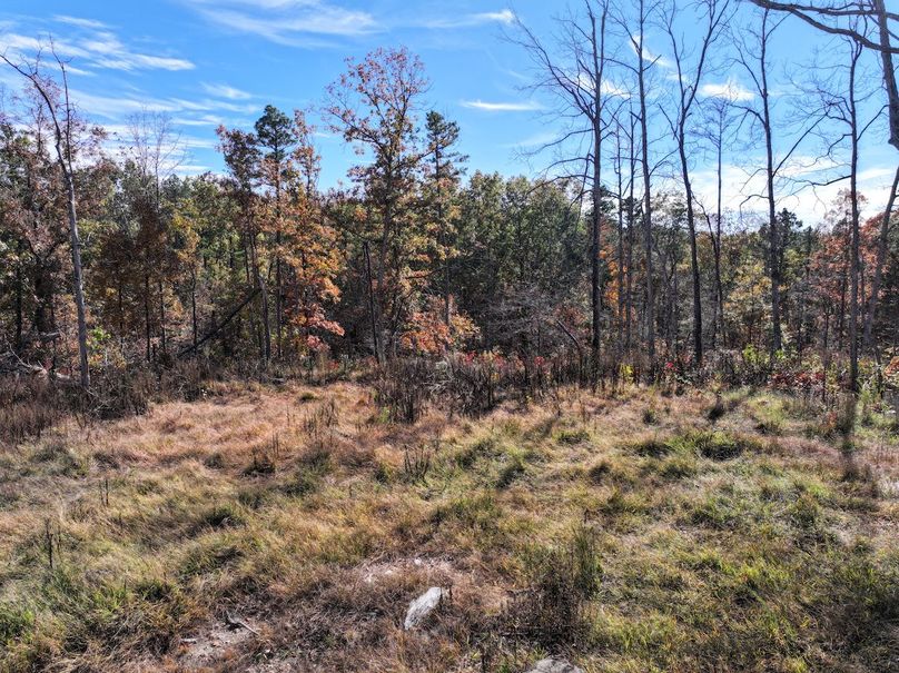 DJI_20251104131219_0862_D