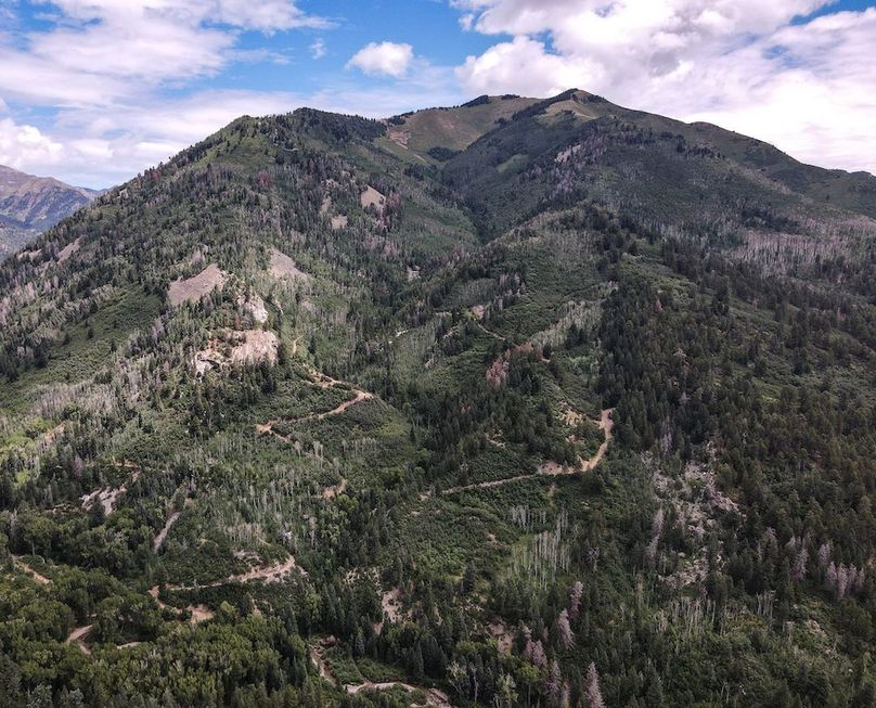 DJI_0265
