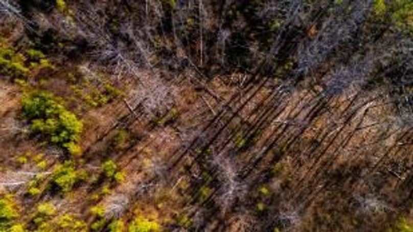 MCKINNON TRACT 19-19