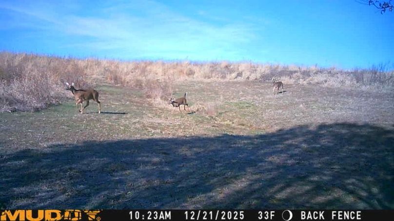 25122110235301001019_ColorizationType.none