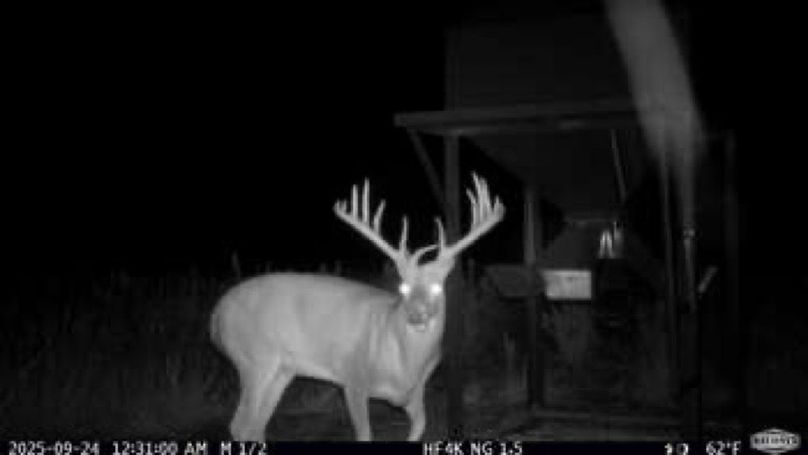 77c50256db268507d99babb9e0d61925-small