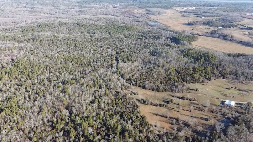 2024-02-06-09-03-38-072