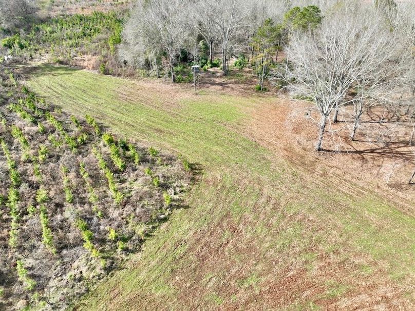 dji_fly_20260120_112636_195_1768926580410_photo