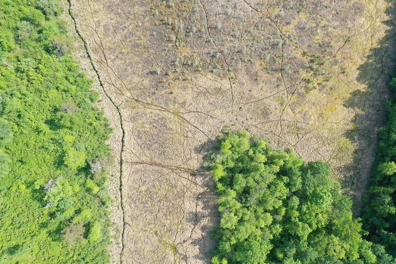 DJI_0360