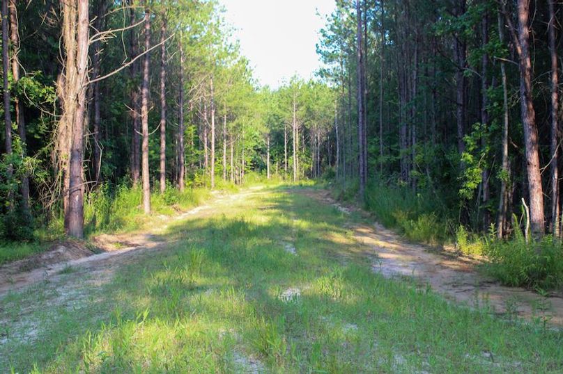 Copiah Co - 192 - Nutt-07