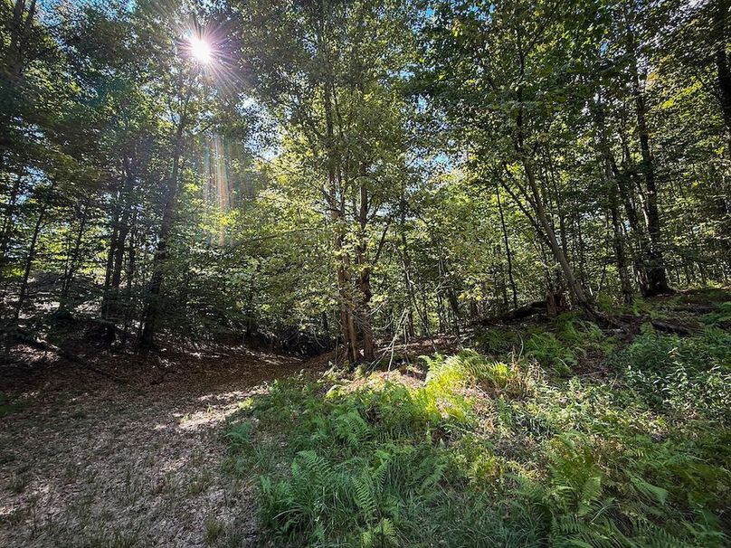 Oswego NY 18.18 Martin Photos 38