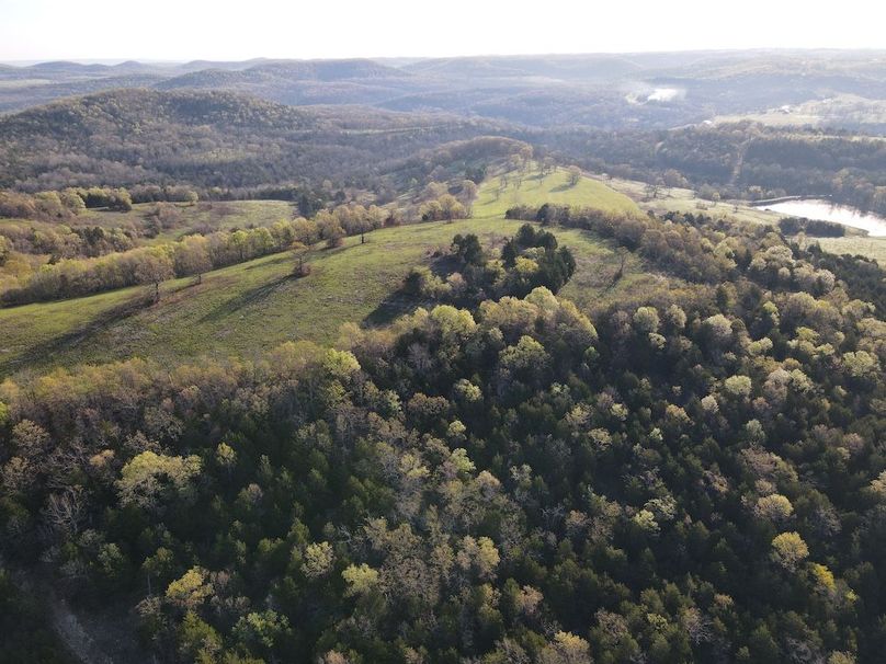 DJI_0421