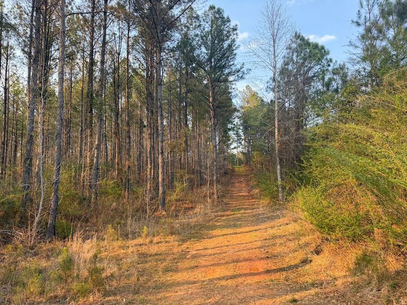 F109 McCosh Mill 105 Acres - 1-4