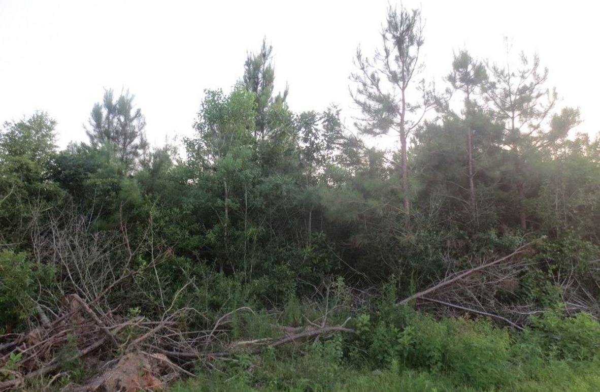 49EA2D15-6270-495D-957B-07A97790B3B7_1_105_c