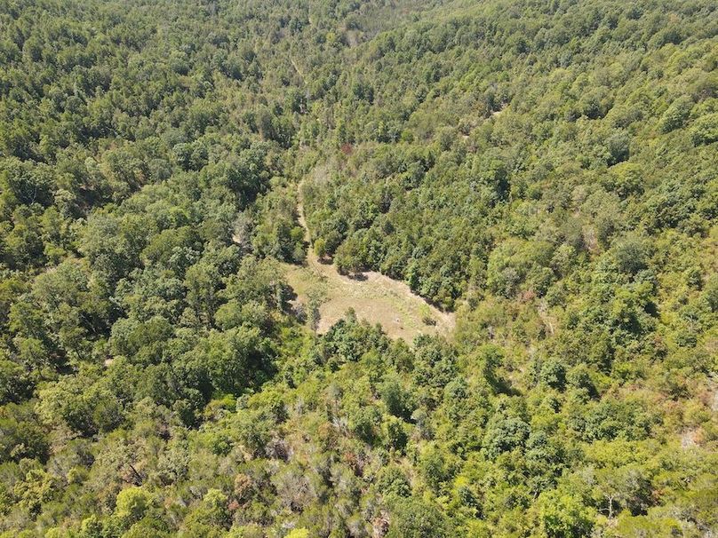 dji_fly_20250902_122812_783_1756834107467_photo