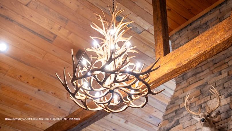 Tallahatchie 847 Messina-53