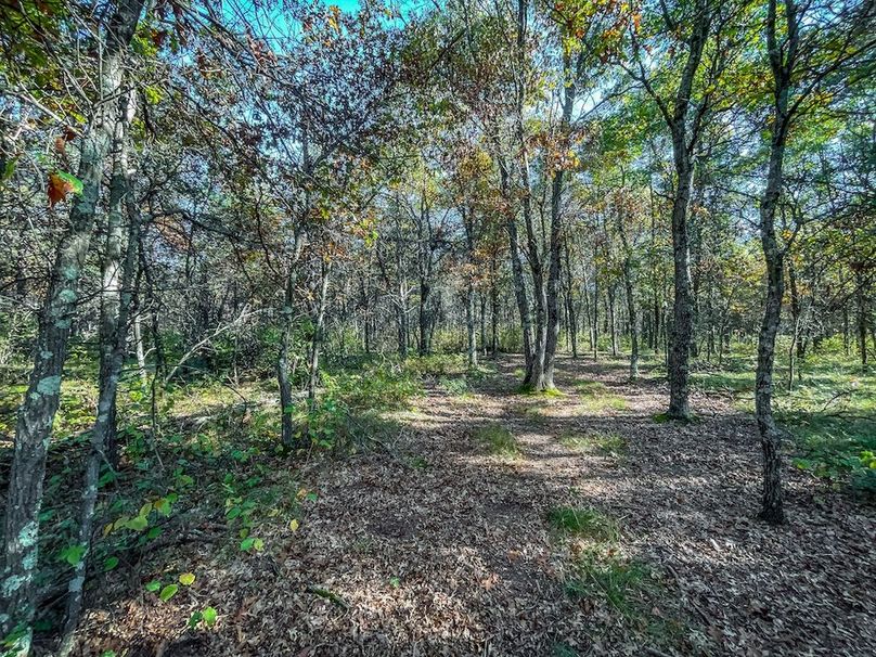 Juneau 27 Wiesner -089